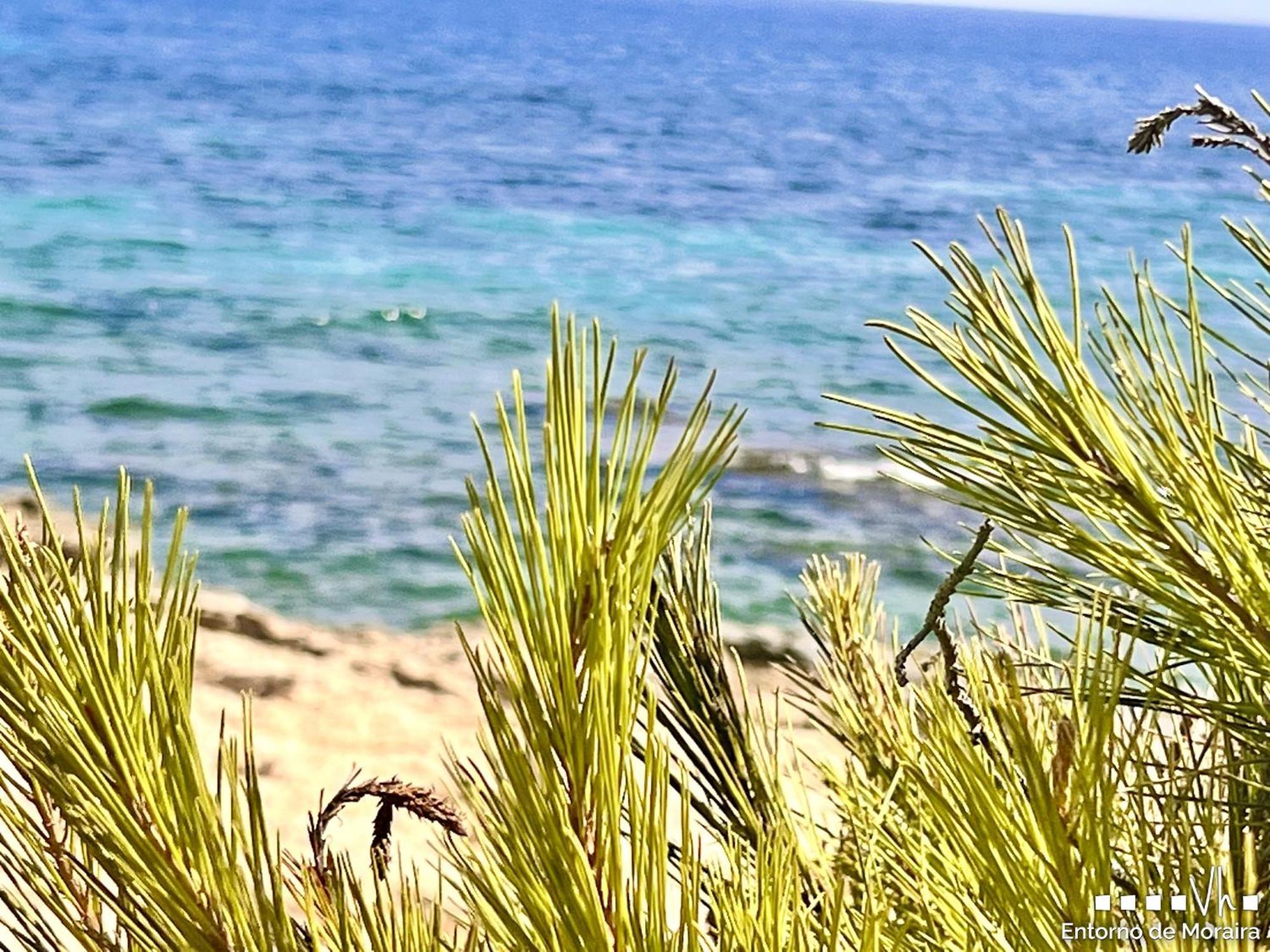 Vh Costablanca - Merlin Benissa Exteriér fotografie